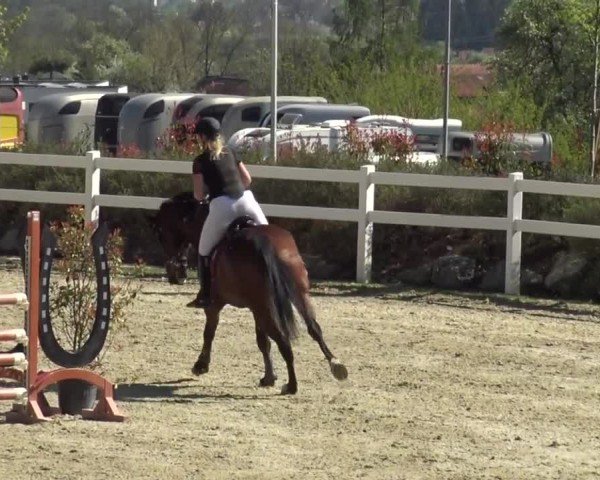 Reitturnier St. Margarethen 2024