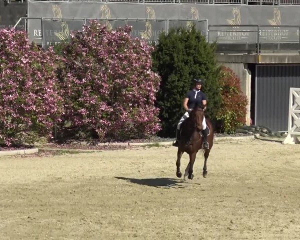 Reitturnier St. Margarethen 2024