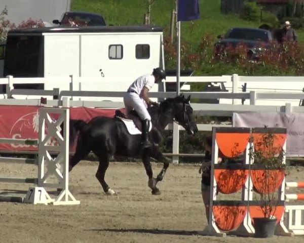 Reitturnier St. Margarethen 2024