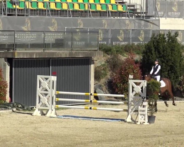 Reitturnier St. Margarethen 2024