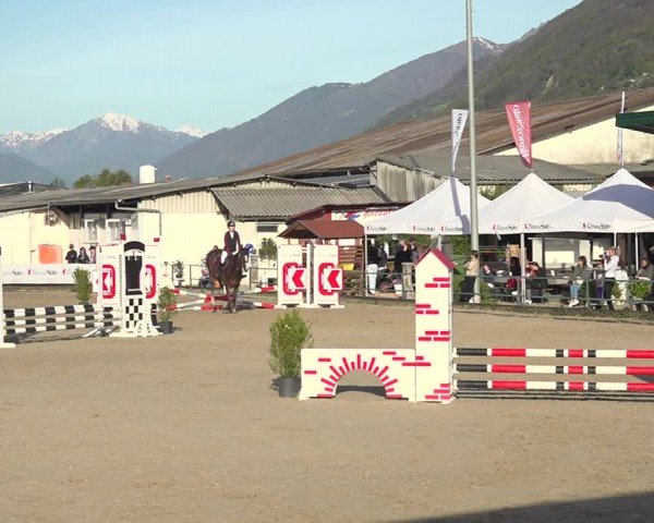 Reitturnier Giubiasco 2024