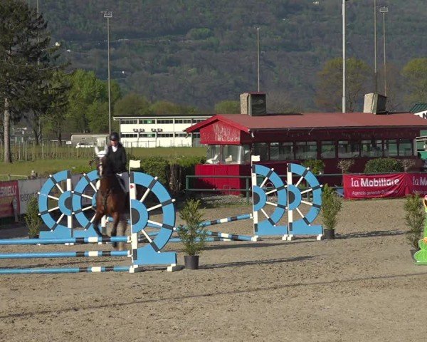 Reitturnier Giubiasco 2024