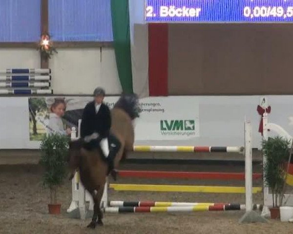 19. Winter Hallen Reit- und Springturnier 2011