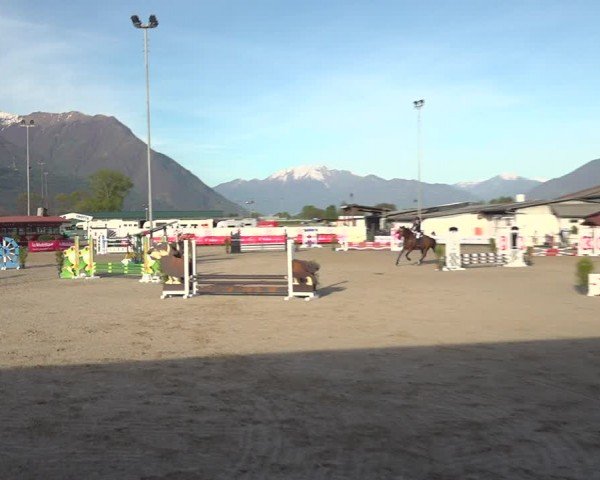 Reitturnier Giubiasco 2024
