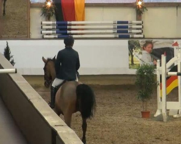 19. Winter Hallen Reit- und Springturnier 2011