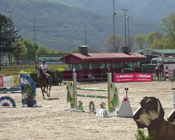 Reitturnier Giubiasco 2024