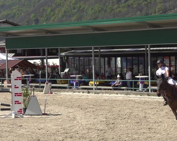 Reitturnier Giubiasco 2024