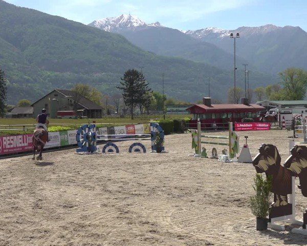 Reitturnier Giubiasco 2024