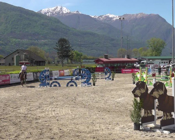 Reitturnier Giubiasco 2024