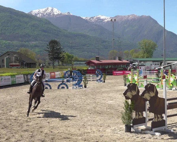 Reitturnier Giubiasco 2024
