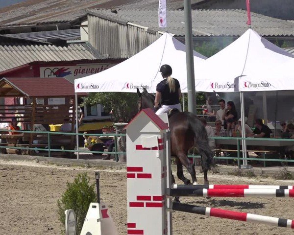 Reitturnier Giubiasco 2024