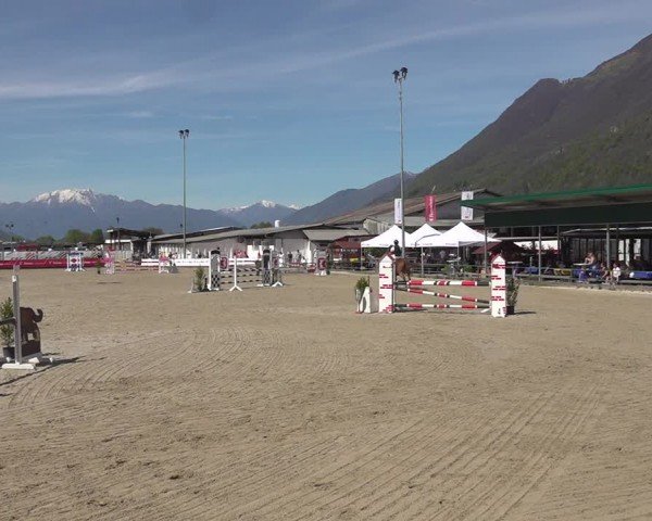 Reitturnier Giubiasco 2024