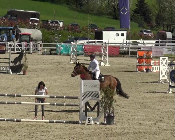 Reitturnier St. Margarethen 2024