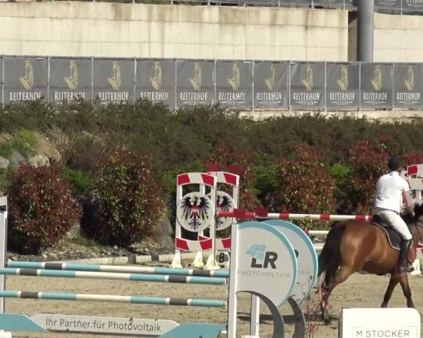 Reitturnier St. Margarethen 2024