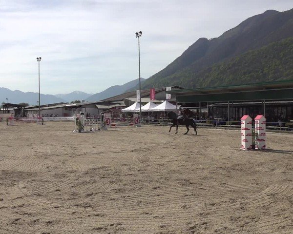 Reitturnier Giubiasco 2024