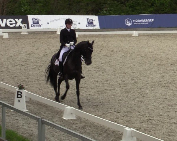 Reitturnier Elmlohe 2024
