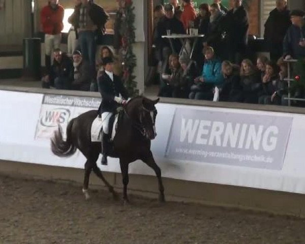19. Winter Hallen Reit- und Springturnier 2011