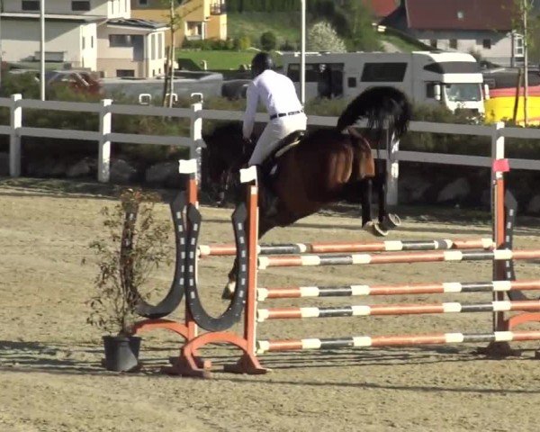 Reitturnier St. Margarethen 2024