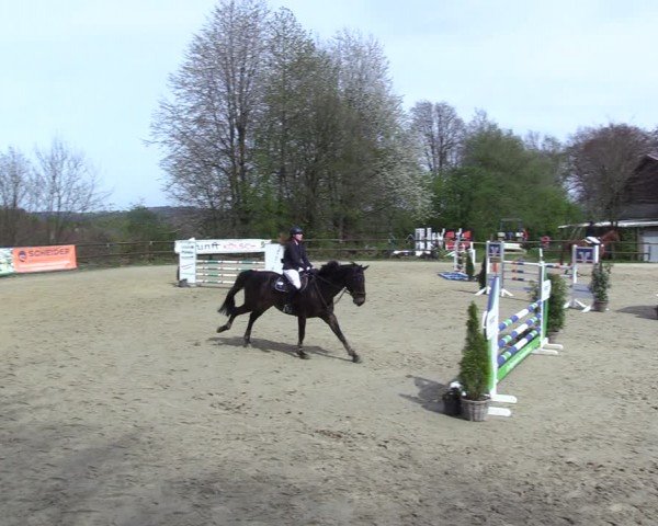 Reitturnier Marienheide-Kempershöhe 2024