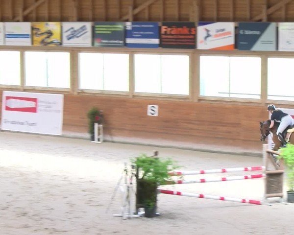 Reitturnier Rüti 2024