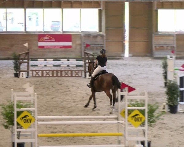 Reitturnier Rüti 2024