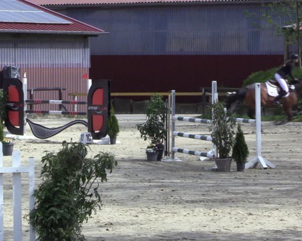 Reitturnier Marienheide-Kempershöhe 2024