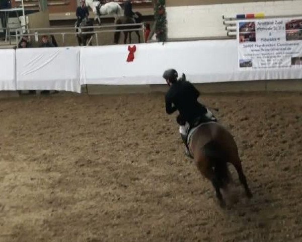 19. Winter Hallen Reit- und Springturnier 2011