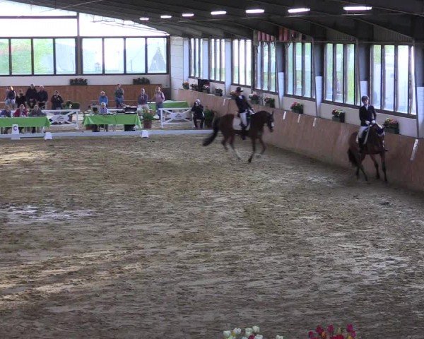 Lenklarer Reitertage Werne 2024