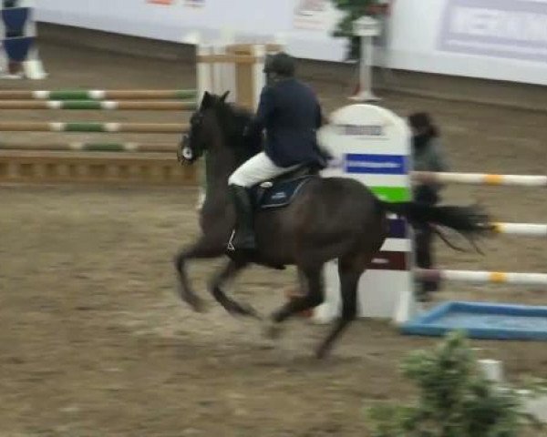 19. Winter Hallen Reit- und Springturnier 2011