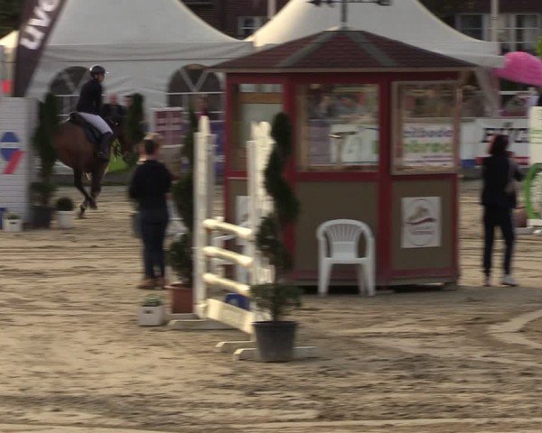 Lenklarer Reitertage Werne 2024