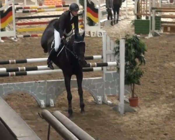 19. Winter Hallen Reit- und Springturnier 2011
