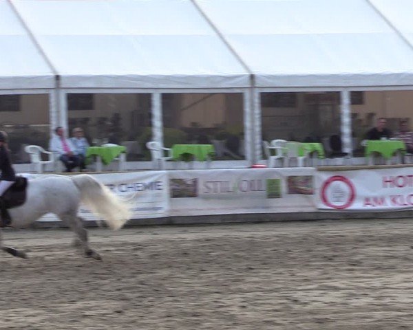 Lenklarer Reitertage Werne 2024
