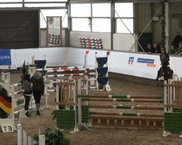 19. Winter Hallen Reit- und Springturnier 2011
