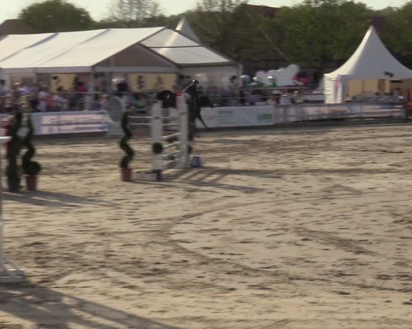 Lenklarer Reitertage Werne 2024