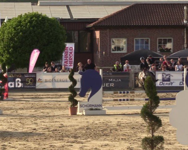 Lenklarer Reitertage Werne 2024