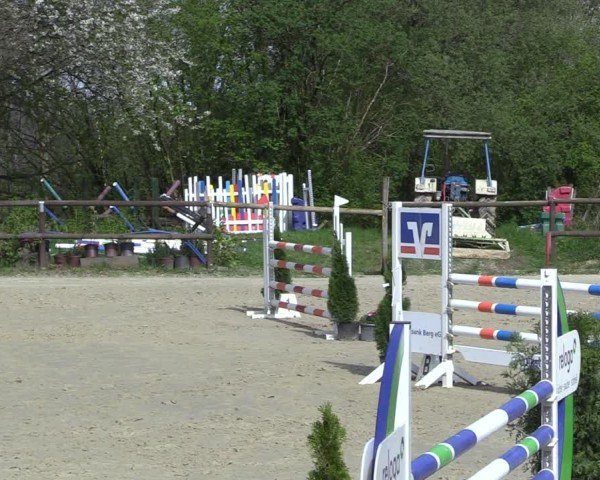 Reitturnier Marienheide-Kempershöhe 2024