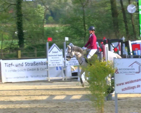 Reitturnier Rhede 2024