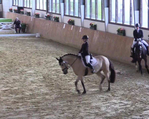 Lenklarer Reitertage Werne 2024