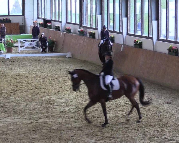 Reitturnier Werne-Lenklar 2024