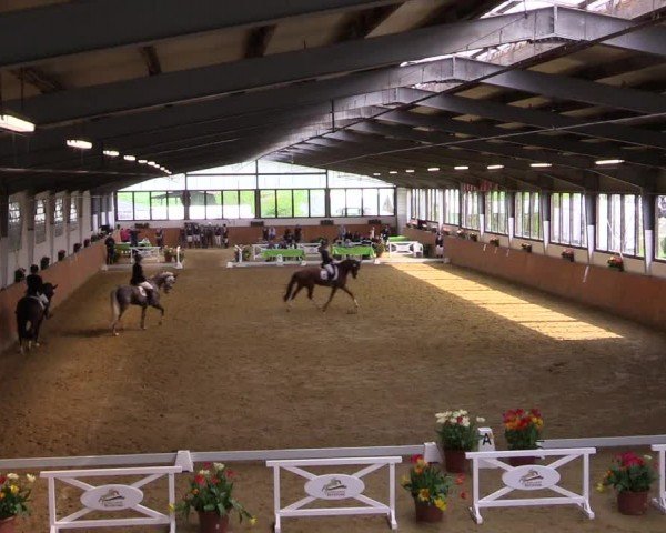 Reitturnier Werne-Lenklar 2024