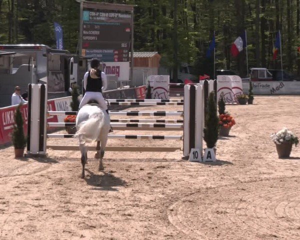 Reitturnier Ranshofen - Braunau am Inn 2024