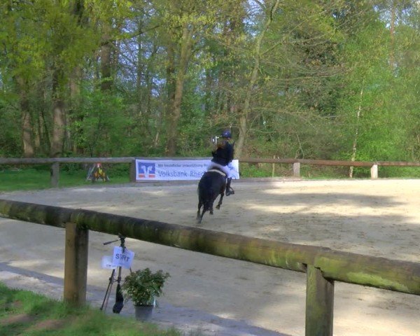 Reitturnier Rhede 2024