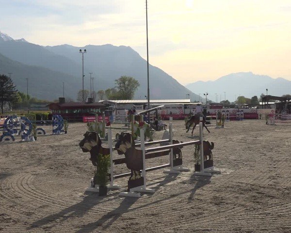 Reitturnier Giubiasco 2024