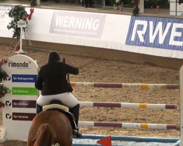 19. Winter Hallen Reit- und Springturnier 2011