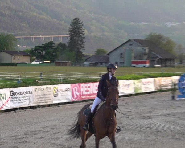 Reitturnier Giubiasco 2024
