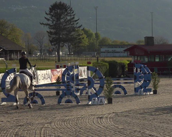 Reitturnier Giubiasco 2024