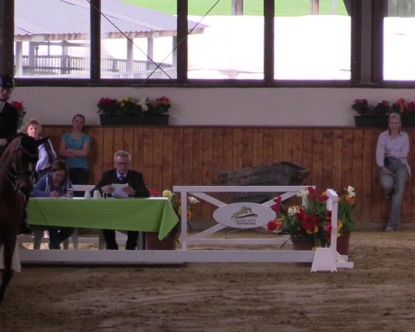 Lenklarer Reitertage Werne 2024