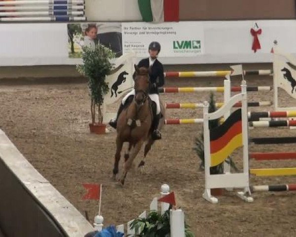 19. Winter Hallen Reit- und Springturnier 2011