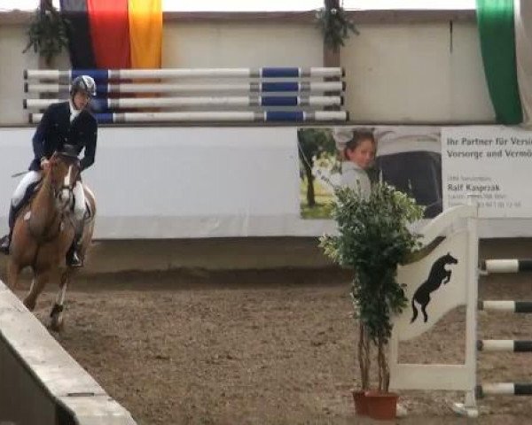 19. Winter Hallen Reit- und Springturnier 2011