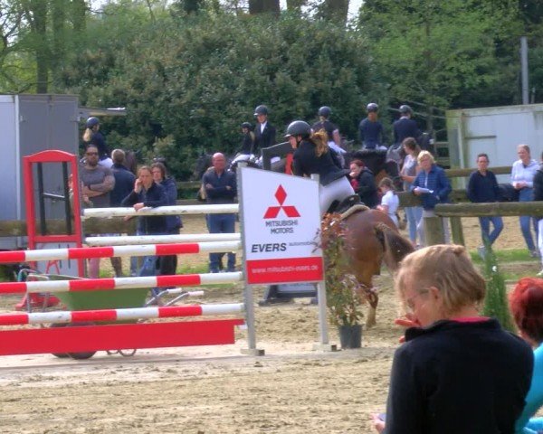 Reitturnier Rhede 2024